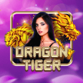 Dragon Tiger jiliko apk